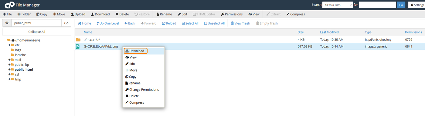 دانلود فایل از File Manager
