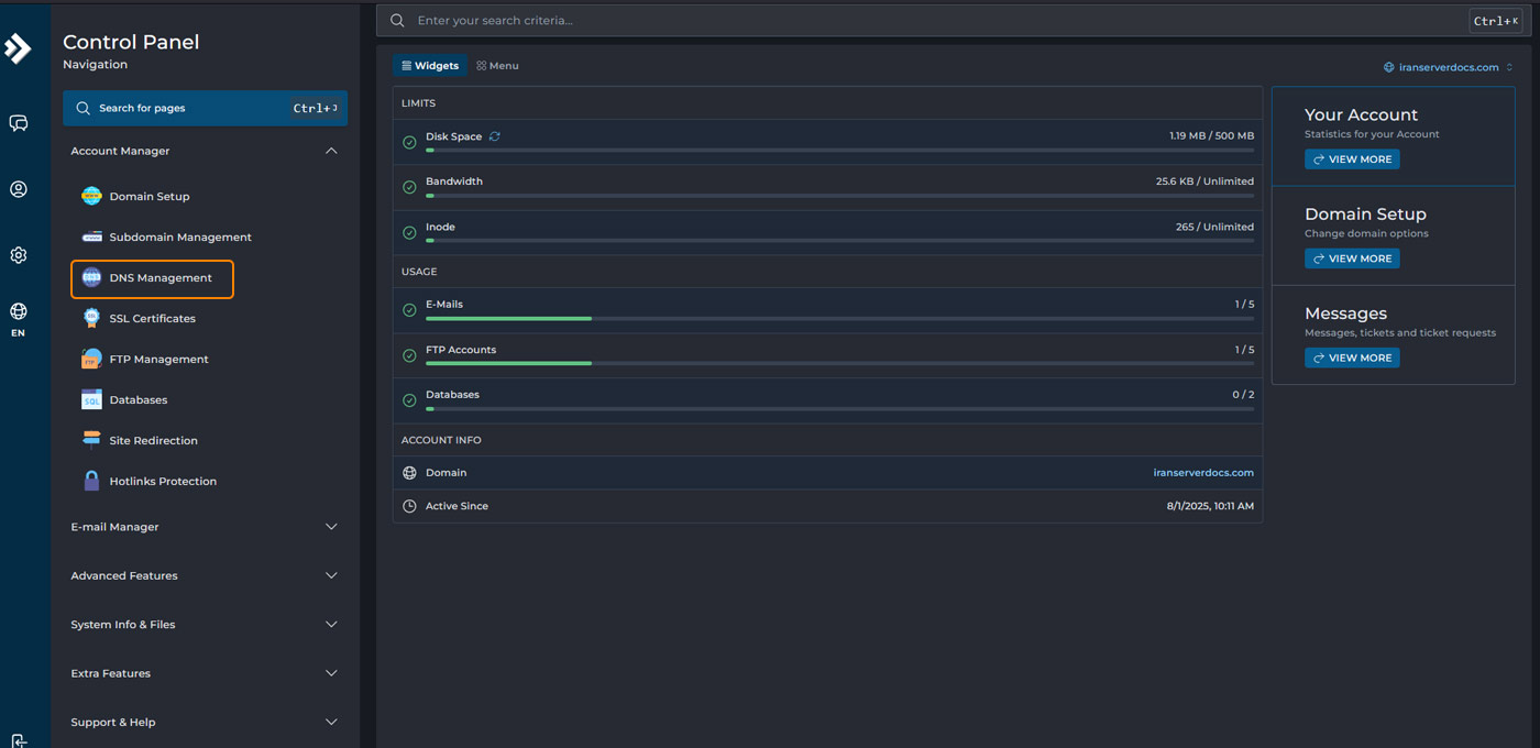 منوی دی ان اس منیجمنت