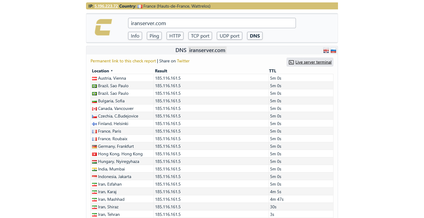 نمای خروجی ابزار check-host.net برای دامنه