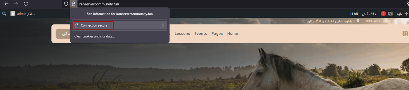 نمای دامنه با https فعال در مرورگر