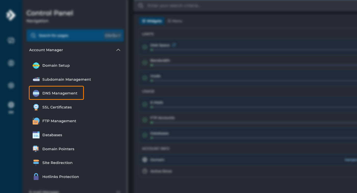 بخش انتخاب دامنه و ورود به DNS Management