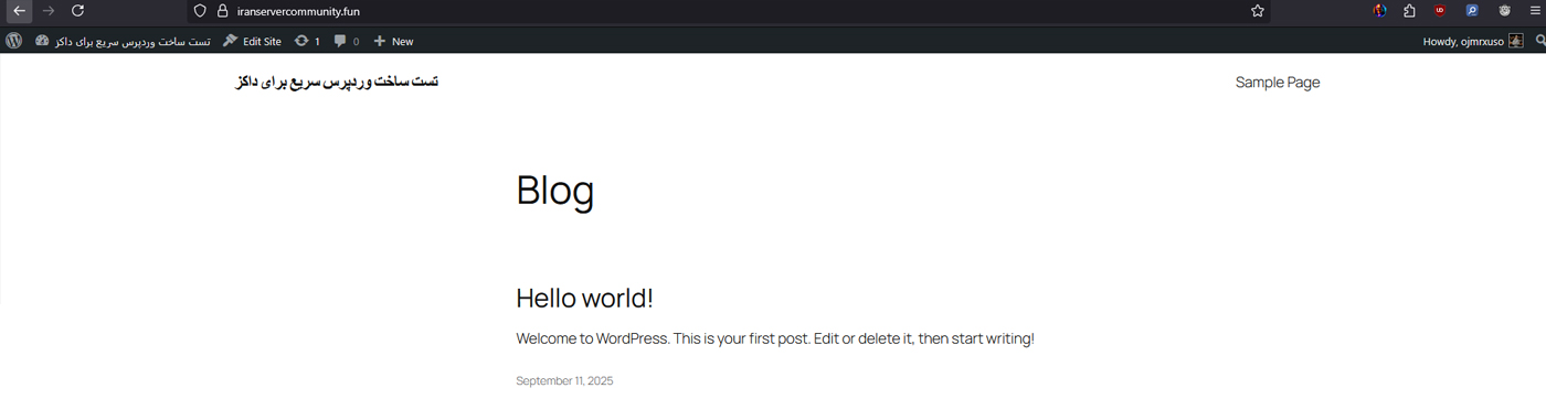 نمای سایت تازه نصبشده وردپرس