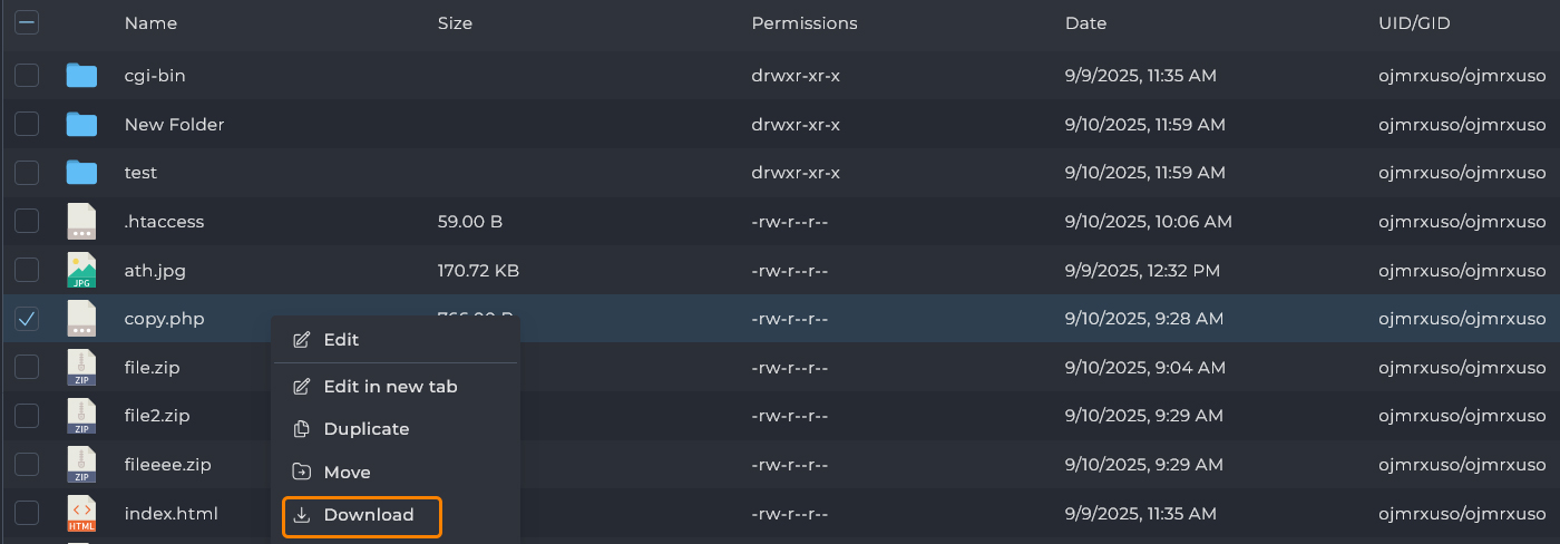 دانلود فایل از دایرکت ادمین