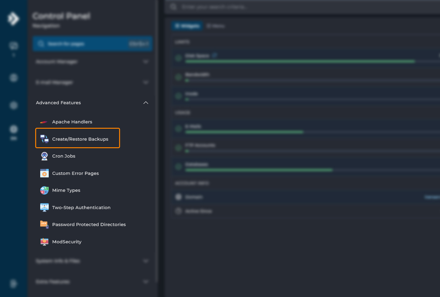 نمای منوی دایرکت ادمین و گزینه Create/Restore Backups