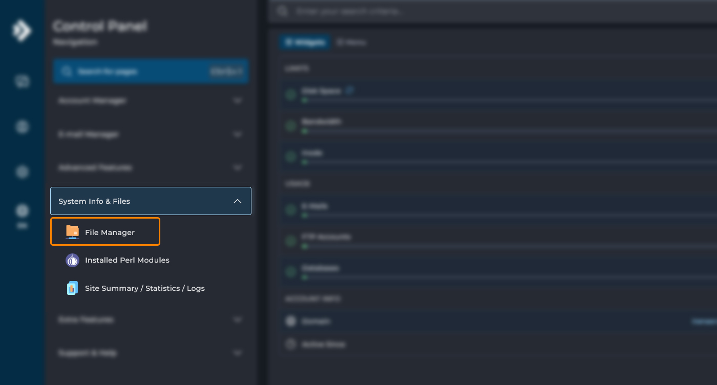 نمای کلی File Manager در دایرکت ادمین