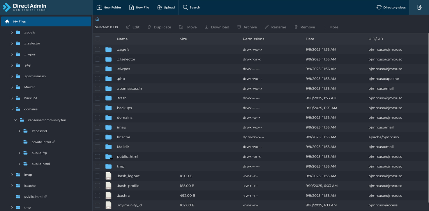 نمای کلی File Manager در دایرکت ادمین