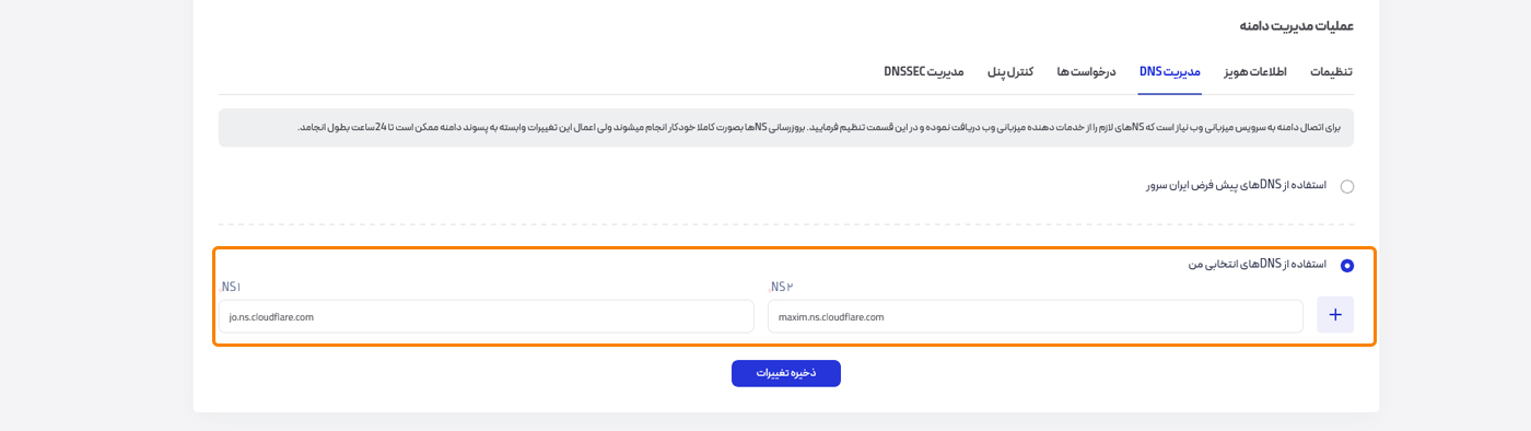 چک دی ان اس دامنه