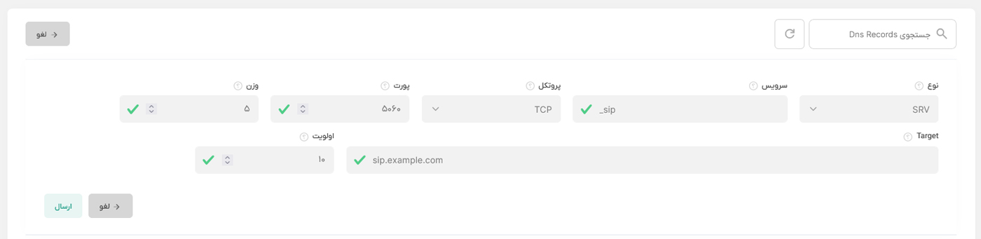 فرم افزودن رکورد SRV