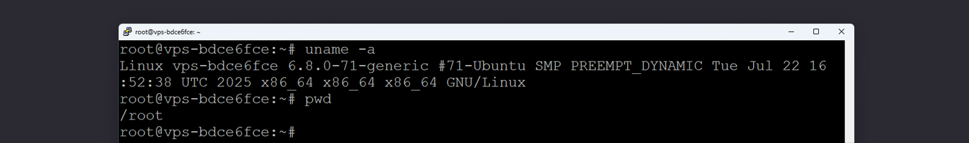 نمای محیط ترمینال پس از ورود موفق