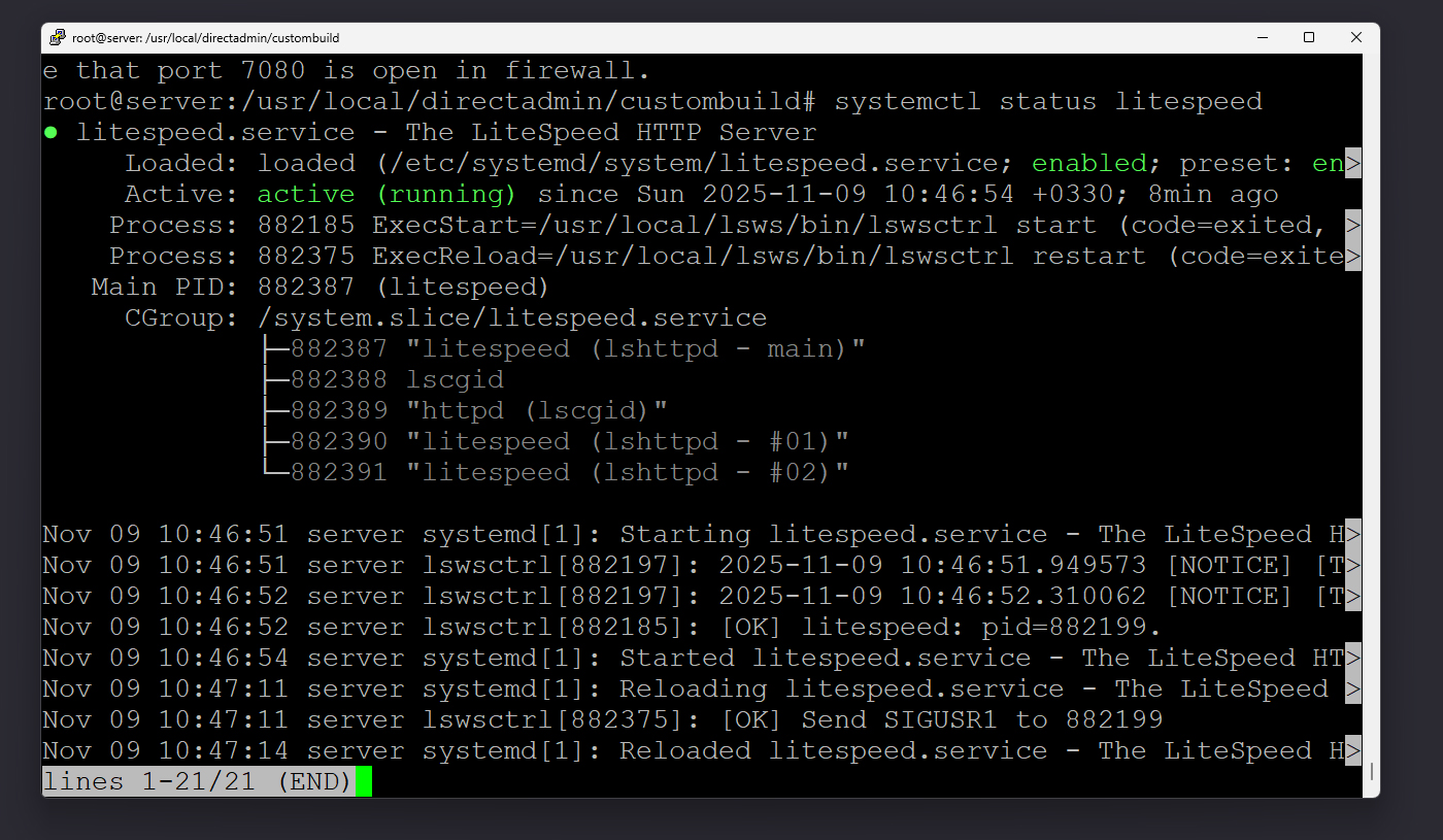 فعال بودن لایت اسپید