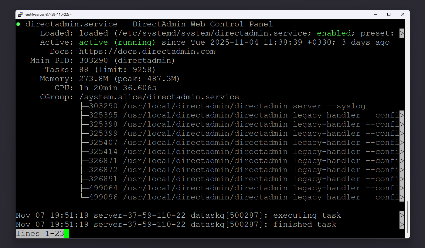 نمای status سرویس directadmin