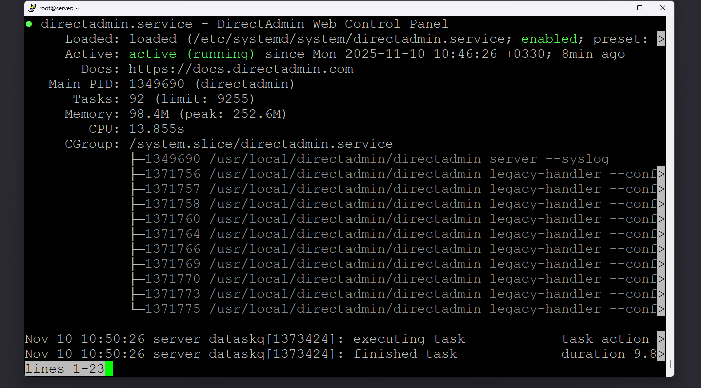 نمای خروجی status سرویس directadmin